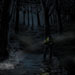 swamp